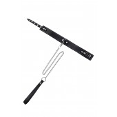 Кожаный двухслойный ошейник с белой строчкой и поводком - Pecado - купить с доставкой в Березниках