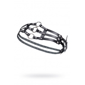 Черный кожаный пояс с кольцами - Pecado - купить с доставкой в Березниках