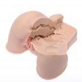 Мастурбатор-полуторс Naked Factory Kate - Naked Factory - в Березниках купить с доставкой