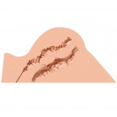 Мастурбатор-полуторс Naked Factory Hannah - Naked Factory - в Березниках купить с доставкой