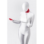 Красный ошейник с подкладкой из меха - ToyFa - купить с доставкой в Березниках