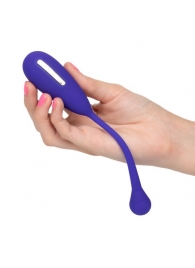 Фиолетовый шарик с электростимуляцией и вибрацией Intimate E-Stimulator Remote Kegel Exerciser - California Exotic Novelties - купить с доставкой в Березниках