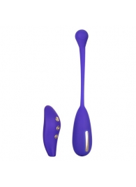 Фиолетовый шарик с электростимуляцией и вибрацией Intimate E-Stimulator Remote Kegel Exerciser - California Exotic Novelties - купить с доставкой в Березниках