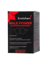 Капсулы для мужчин Erotichard male power с пантогематогеном - 20 капсул (0,370 гр.) - Erotic Hard - купить с доставкой в Березниках