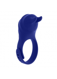 Синее эрекционное виброкольцо с клиторальной подушечкой и пультом ДУ Adjustable Fun Ring - Zero Tolerance - в Березниках купить с доставкой