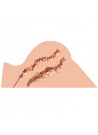 Мастурбатор-полуторс Naked Factory Hannah - Naked Factory - в Березниках купить с доставкой