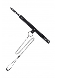 Черный узкий однослойный ошейник с серебристым поводком-цепочкой - Pecado - купить с доставкой в Березниках