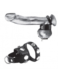 Утяжка для мошонки и пениса Cock Ring With 1  Ball Stretcher And Optional Weight Ring - BlueLine - купить с доставкой в Березниках