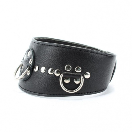 Чёрный кожаный ошейник с полукольцами и клёпками - БДСМ Арсенал - купить с доставкой в Березниках