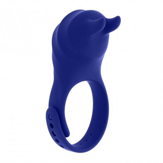 Синее эрекционное виброкольцо с клиторальной подушечкой и пультом ДУ Adjustable Fun Ring - Zero Tolerance - в Березниках купить с доставкой