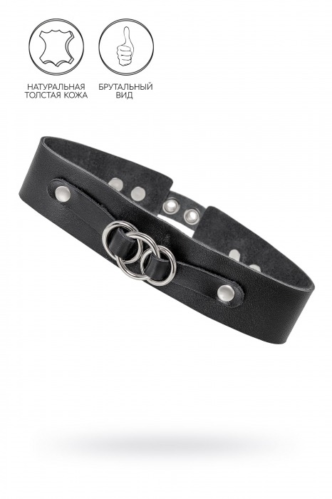 Черный чокер-ошейник со связанными кольцами на подложке - Pecado - купить с доставкой в Березниках