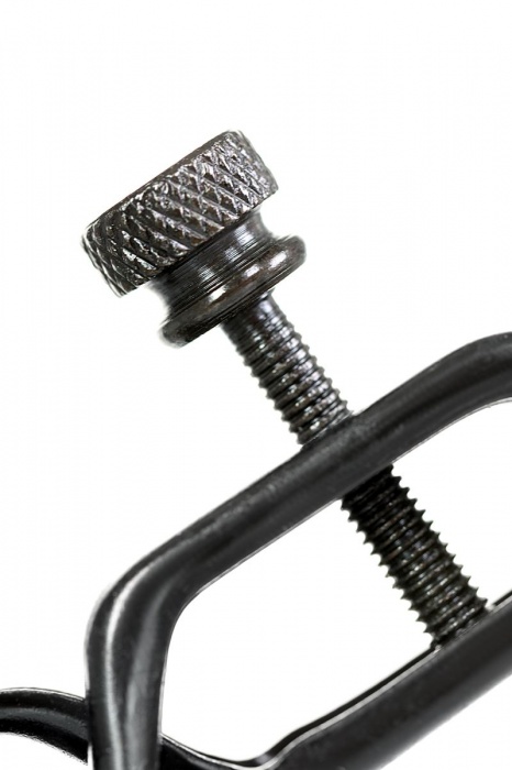 Черно-золотистые зажимы для сосков TOYFA Theatre - ToyFa - купить с доставкой в Березниках